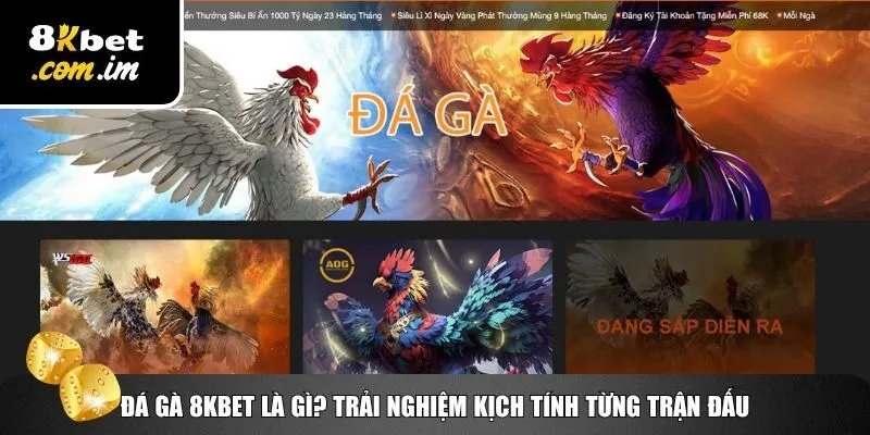 Tìm hiểu chung về sân chơi đá gà 8Kbet