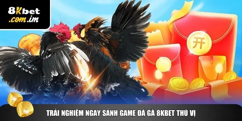 Trải nghiệm ngay sảnh game đá gà 8Kbet thú vị